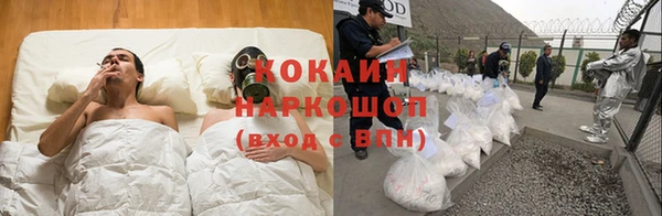прущие грибы Конаково