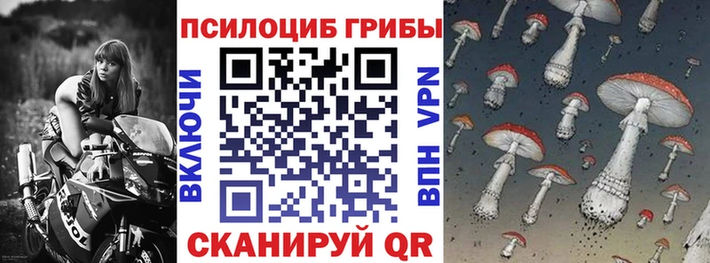 Псилоцибиновые грибы Psilocybe  цены наркотик  Среднеуральск 