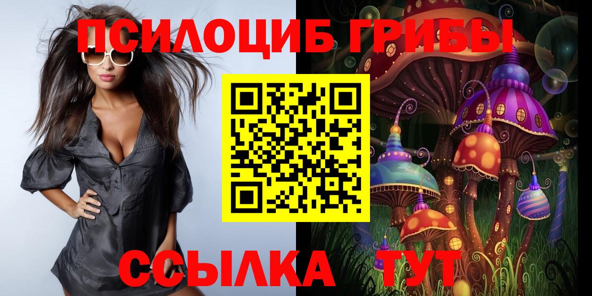 Среднеуральск  Псилоцибиновые грибы GOLDEN TEACHER  Вход с VPN 
